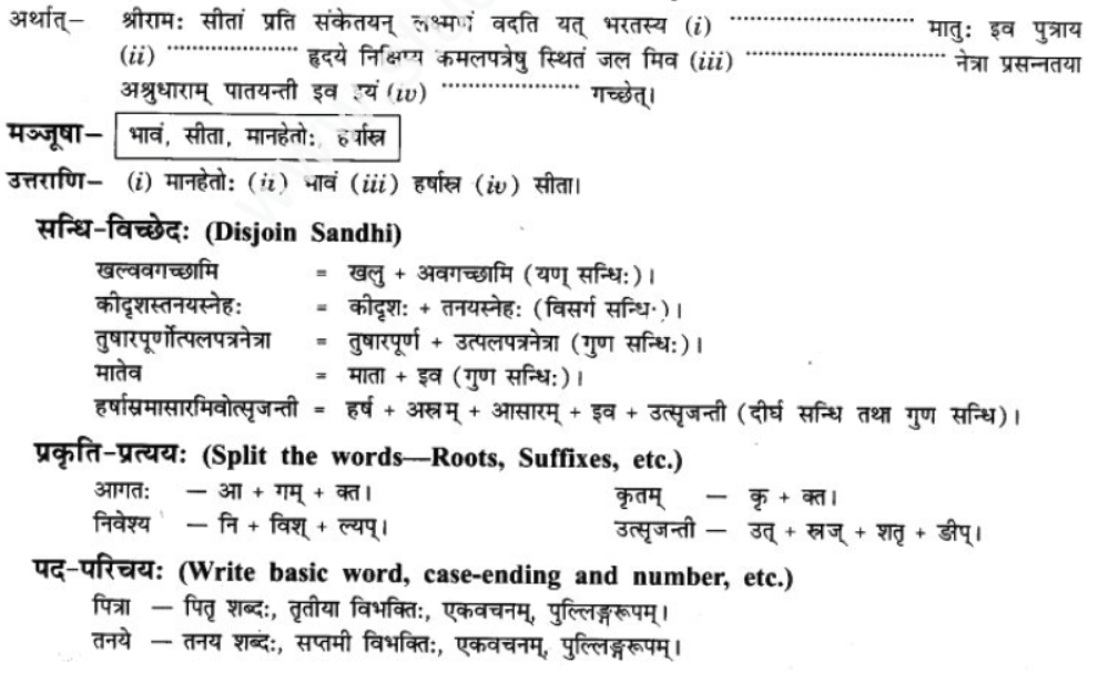 ncert-solutions-class-9-sanskrit-chapter-5-bhratsrestu-durlabh