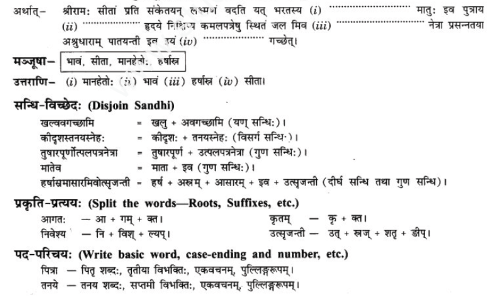 ncert-solutions-class-9-sanskrit-chapter-5-bhratsrestu-durlabh