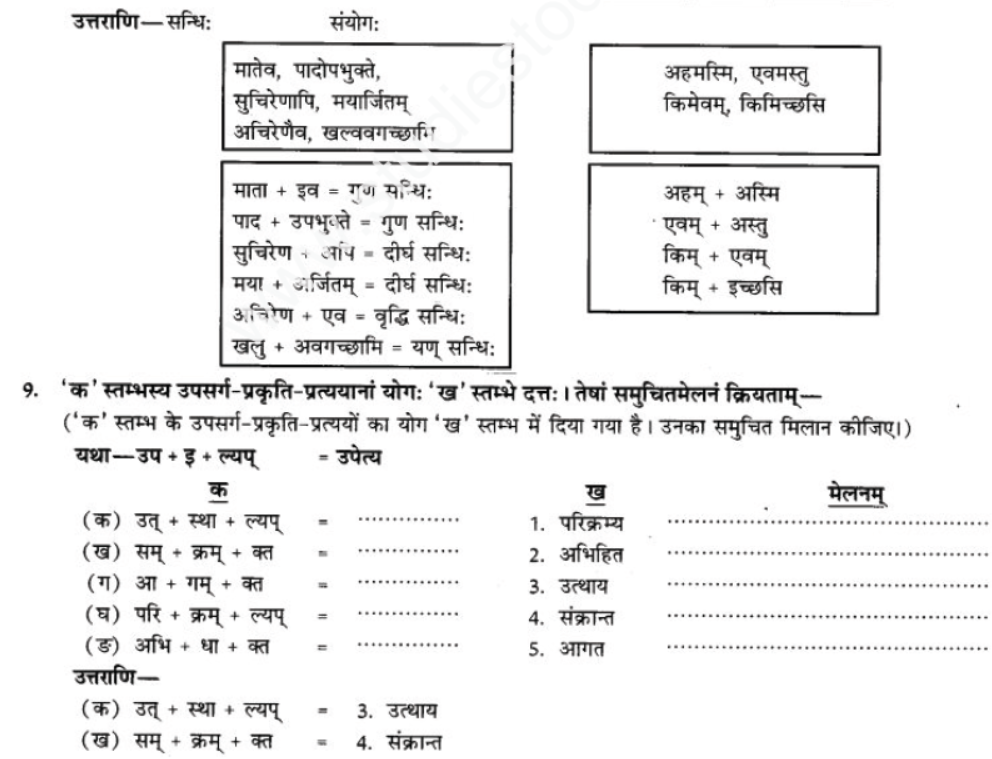 ncert-solutions-class-9-sanskrit-chapter-5-bhratsrestu-durlabh