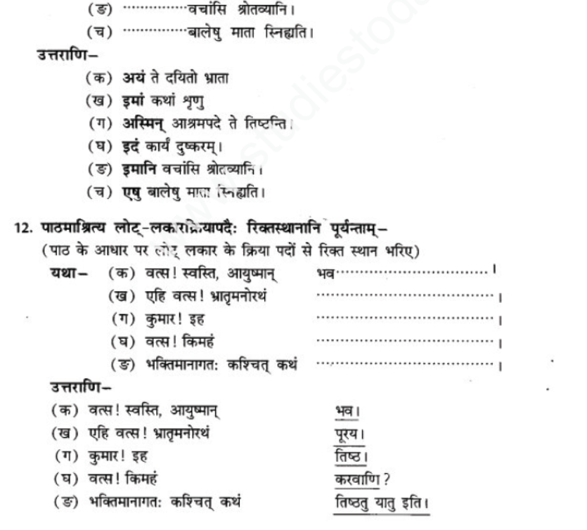 ncert-solutions-class-9-sanskrit-chapter-5-bhratsrestu-durlabh