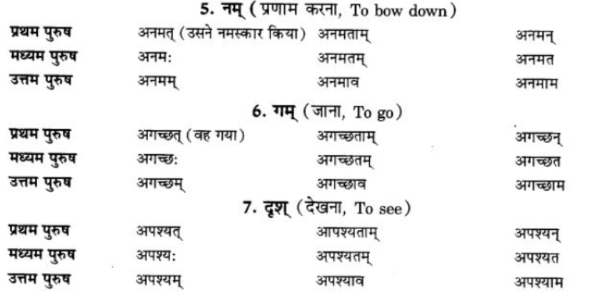 ncert-solutions-class-9-sanskrit-chapter-7-bhutkal