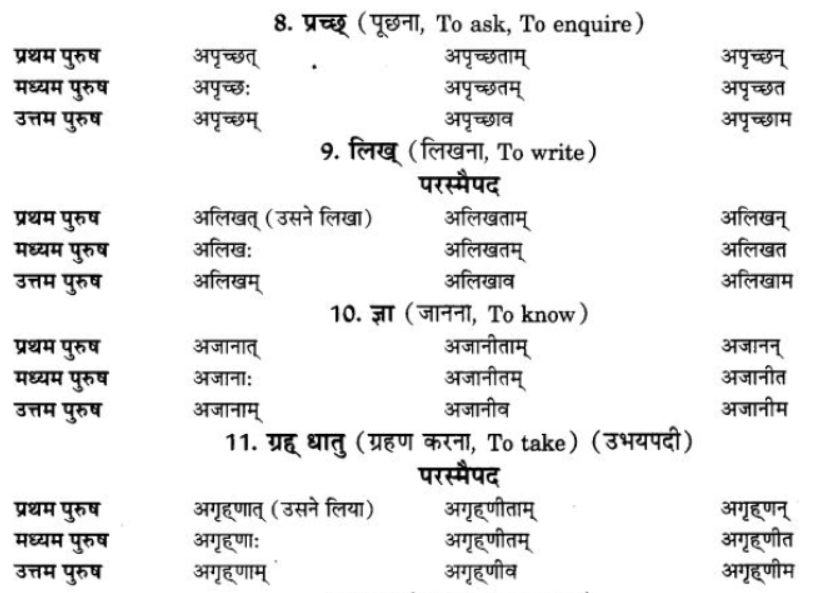 ncert-solutions-class-9-sanskrit-chapter-7-bhutkal