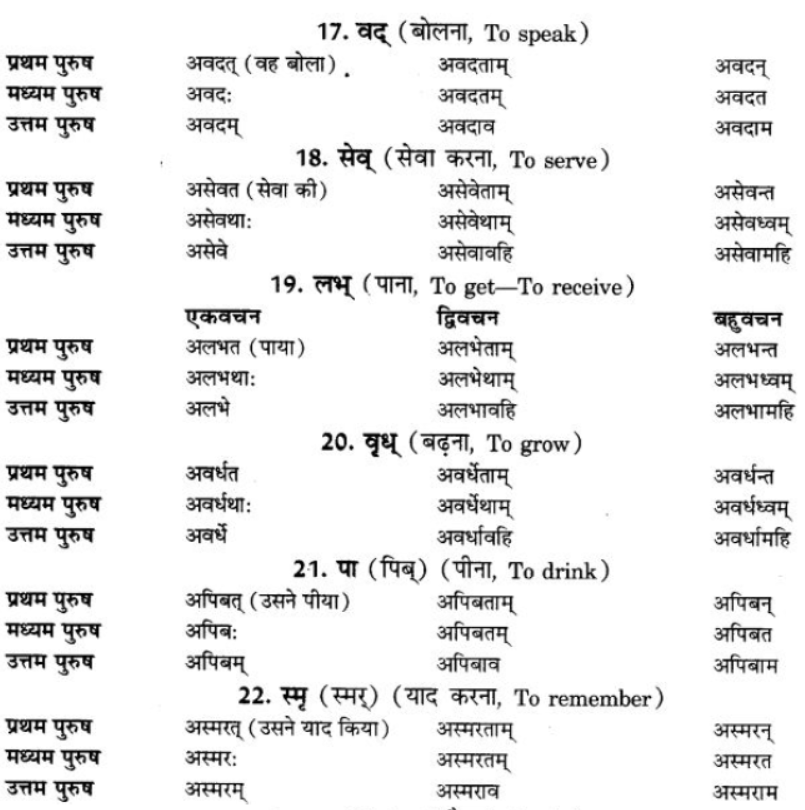 ncert-solutions-class-9-sanskrit-chapter-7-bhutkal