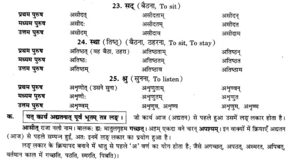 ncert-solutions-class-9-sanskrit-chapter-7-bhutkal