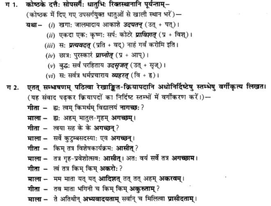 ncert-solutions-class-9-sanskrit-chapter-7-bhutkal