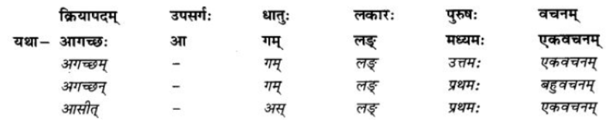 ncert-solutions-class-9-sanskrit-chapter-7-bhutkal