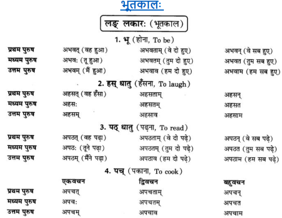 ncert-solutions-class-9-sanskrit-chapter-7-bhutkal