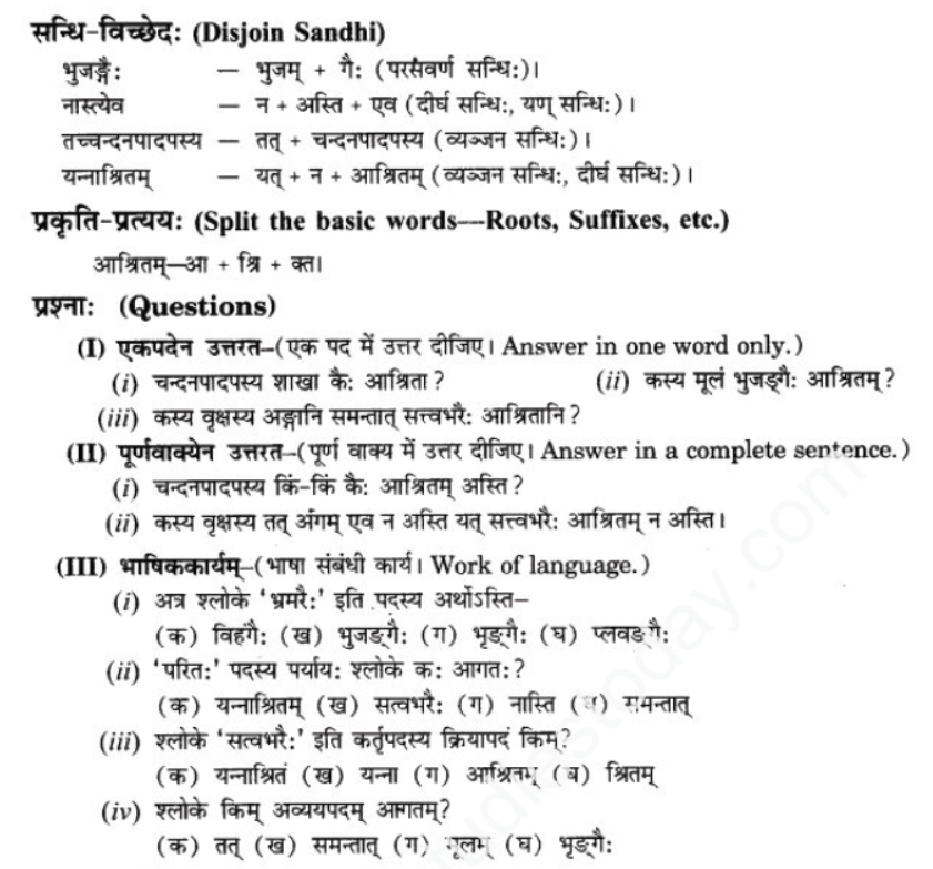 ncert-solutions-class-9-sanskrit-chapter-7-tarve-namostu