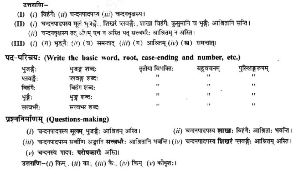 ncert-solutions-class-9-sanskrit-chapter-7-tarve-namostu