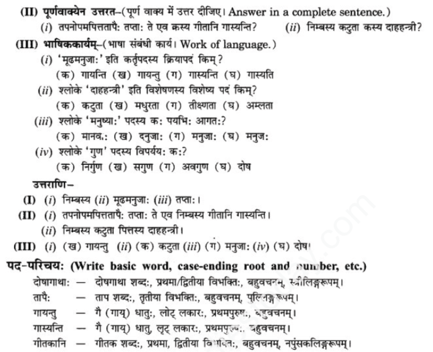 ncert-solutions-class-9-sanskrit-chapter-7-tarve-namostu