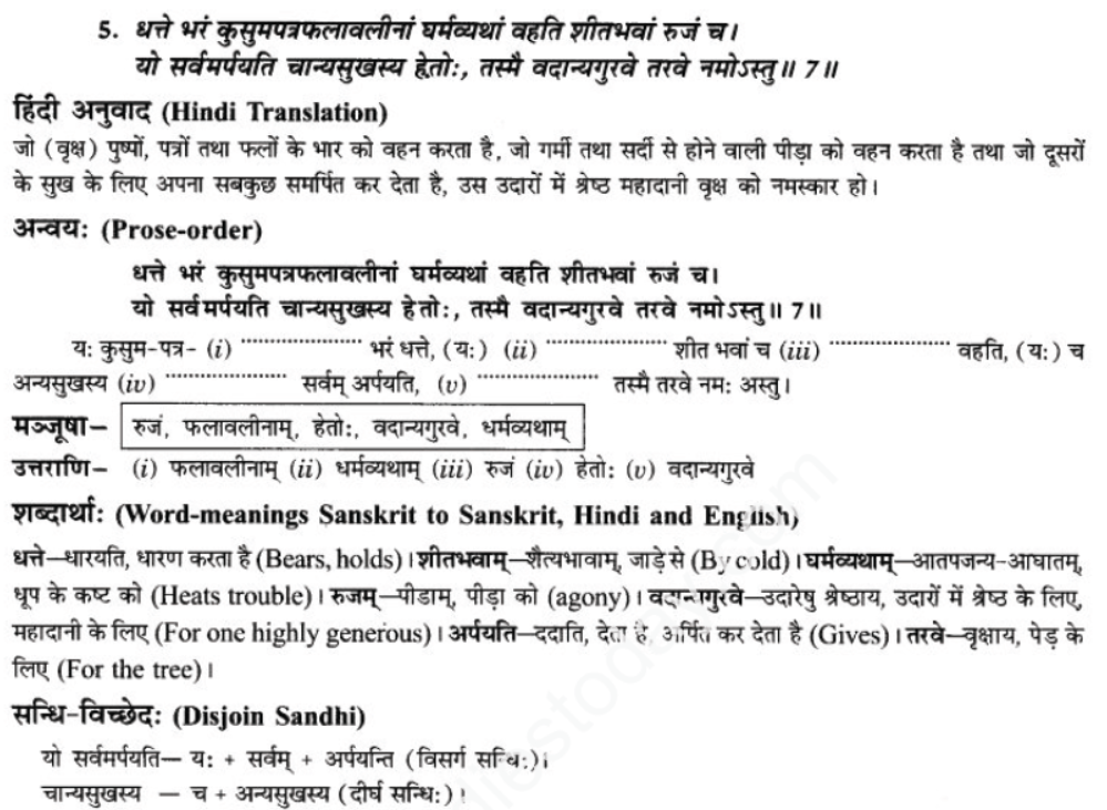 ncert-solutions-class-9-sanskrit-chapter-7-tarve-namostu