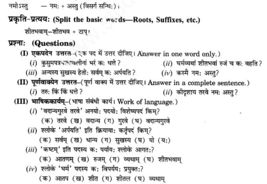 ncert-solutions-class-9-sanskrit-chapter-7-tarve-namostu