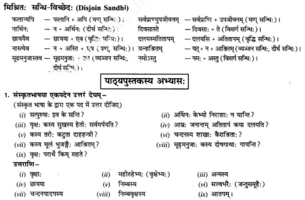 ncert-solutions-class-9-sanskrit-chapter-7-tarve-namostu