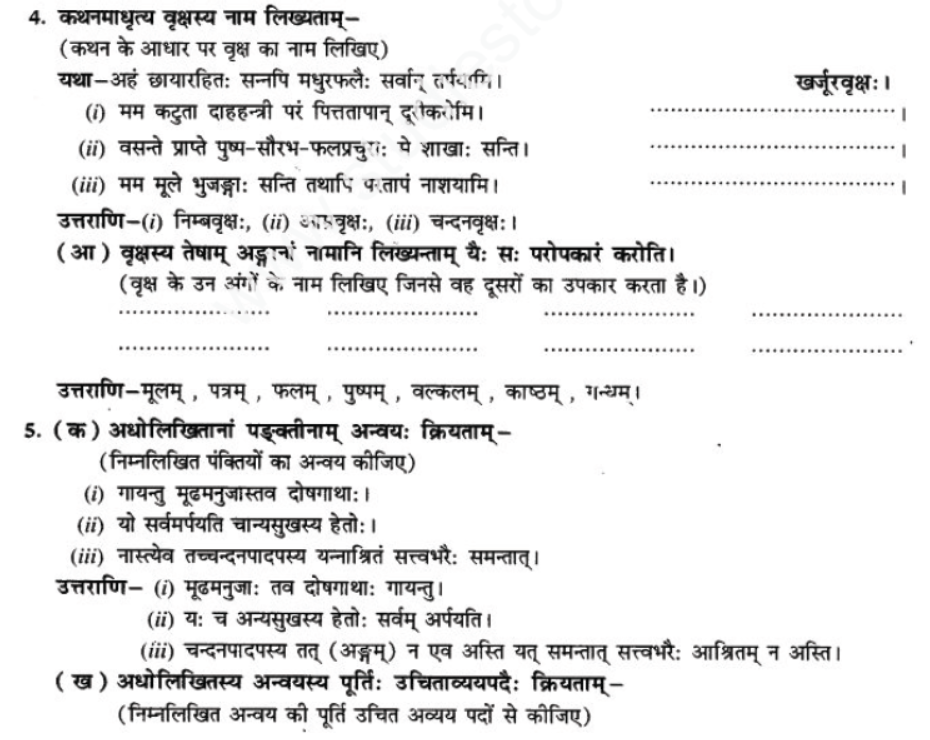 ncert-solutions-class-9-sanskrit-chapter-7-tarve-namostu