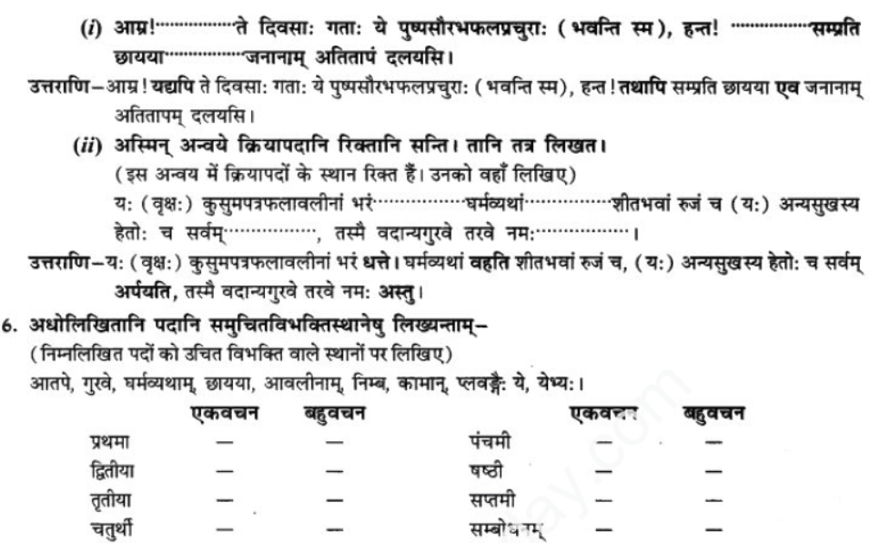 ncert-solutions-class-9-sanskrit-chapter-7-tarve-namostu