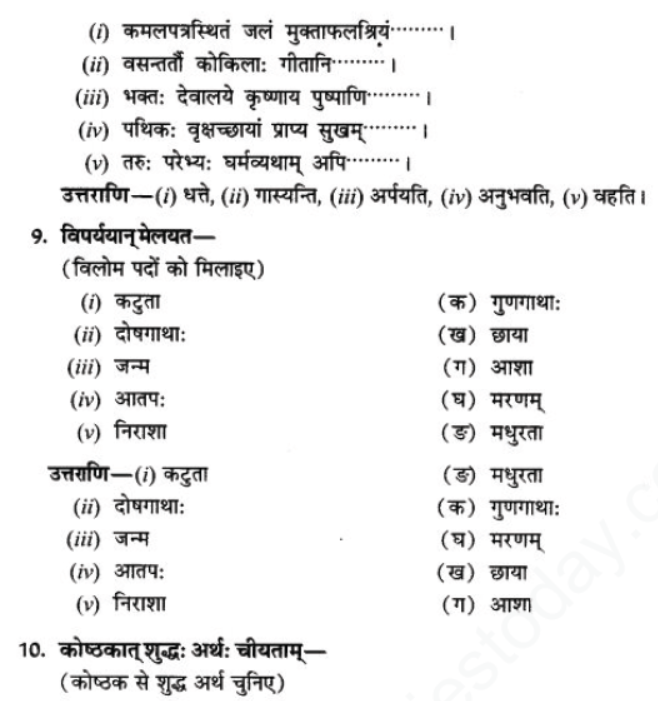 ncert-solutions-class-9-sanskrit-chapter-7-tarve-namostu