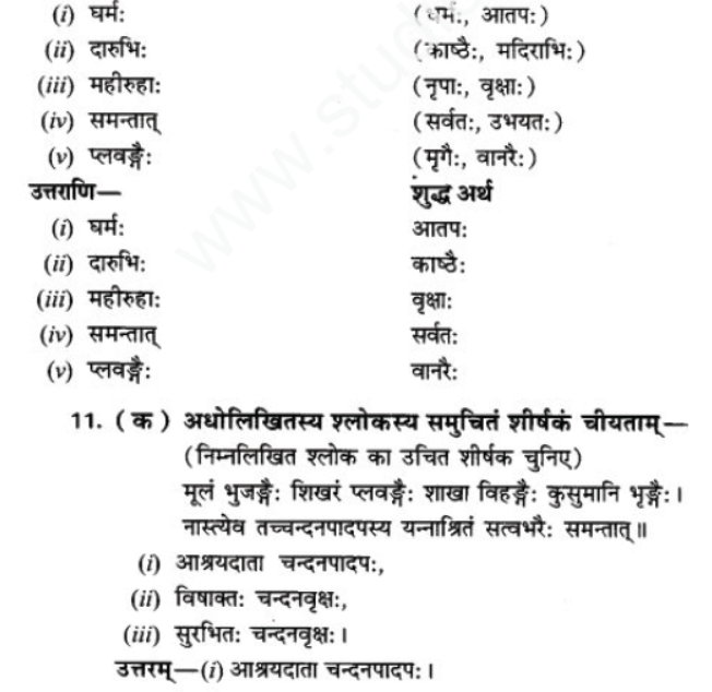 ncert-solutions-class-9-sanskrit-chapter-7-tarve-namostu