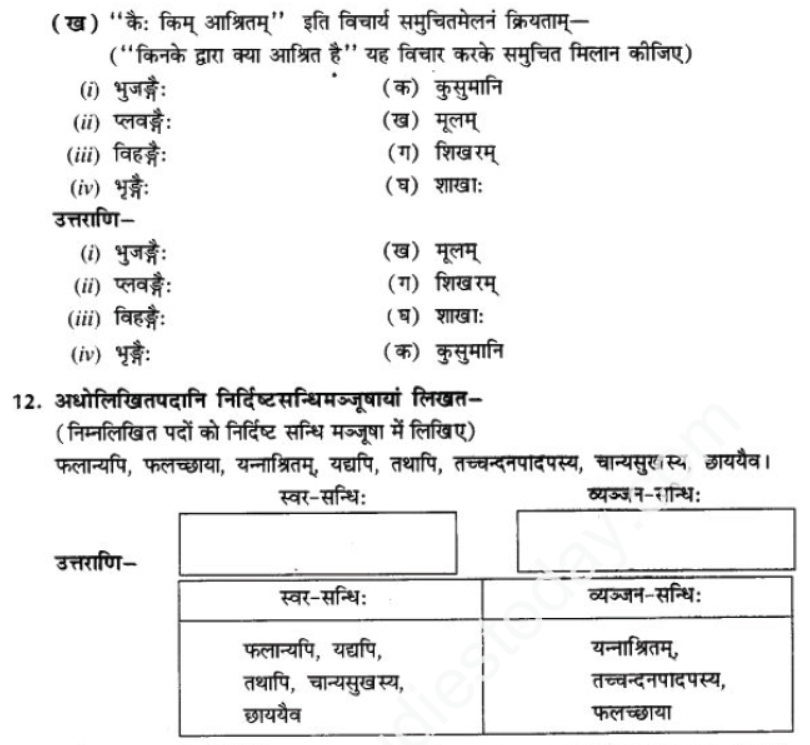 ncert-solutions-class-9-sanskrit-chapter-7-tarve-namostu