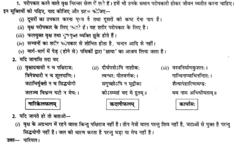 ncert-solutions-class-9-sanskrit-chapter-7-tarve-namostu