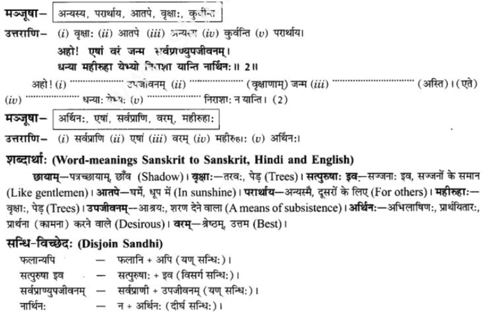 ncert-solutions-class-9-sanskrit-chapter-7-tarve-namostu