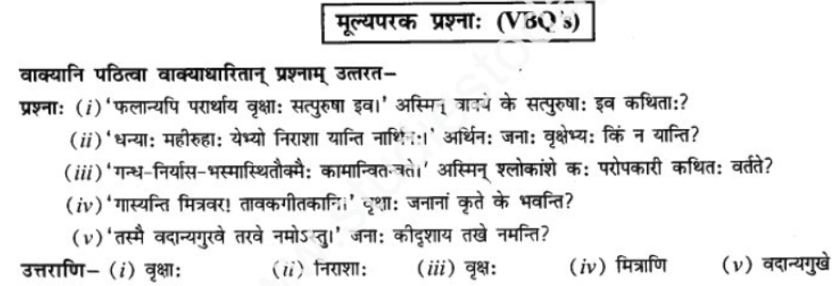 ncert-solutions-class-9-sanskrit-chapter-7-tarve-namostu