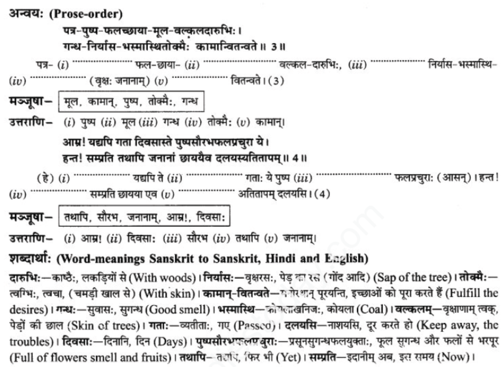 ncert-solutions-class-9-sanskrit-chapter-7-tarve-namostu