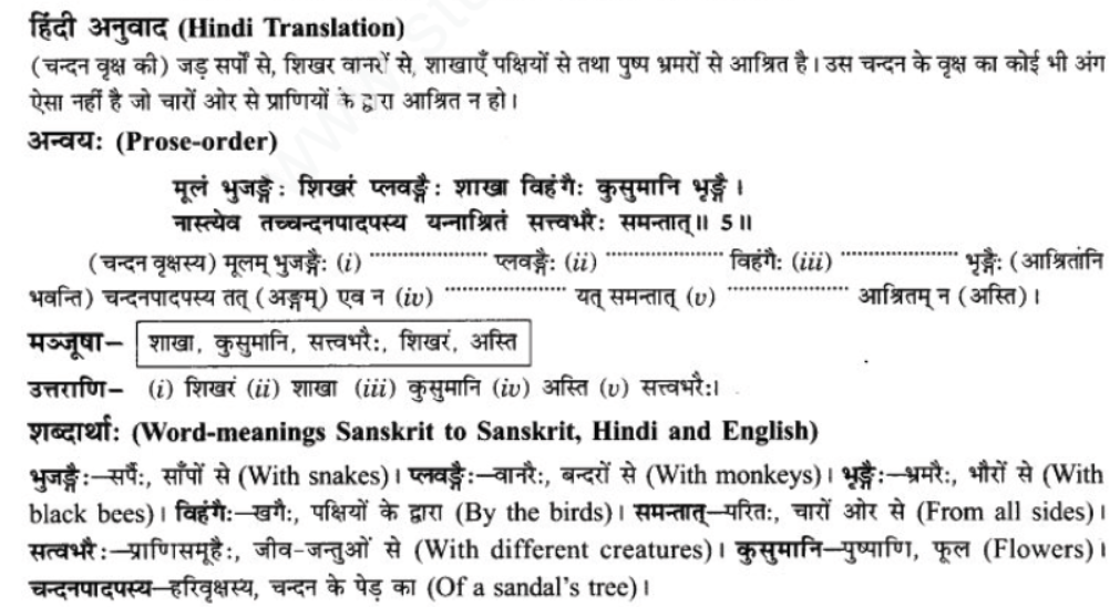 ncert-solutions-class-9-sanskrit-chapter-7-tarve-namostu