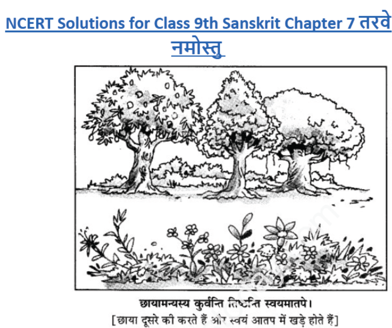 ncert-solutions-class-9-sanskrit-chapter-7-tarve-namostu