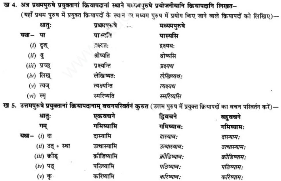 ncert-solutions-class-9-sanskrit-chapter-8-bhavishyakal