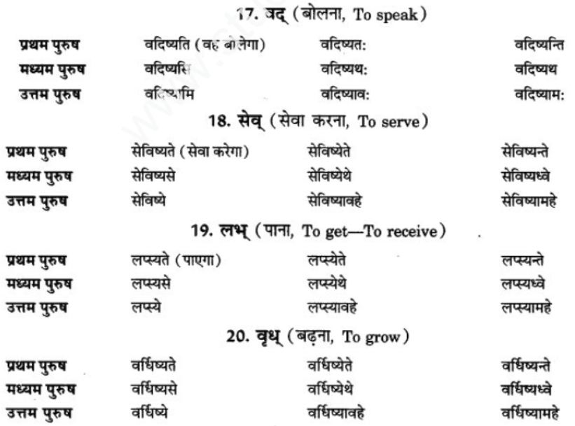 ncert-solutions-class-9-sanskrit-chapter-8-bhavishyakal