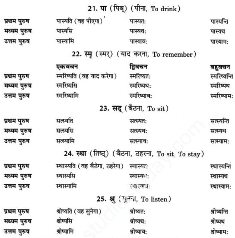 ncert-solutions-class-9-sanskrit-chapter-8-bhavishyakal