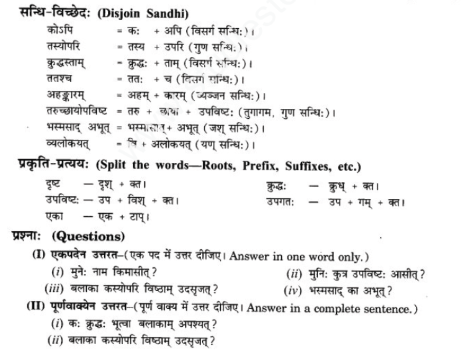 ncert-solutions-class-9-sanskrit-chapter-8-karmna-yati-sasidinam