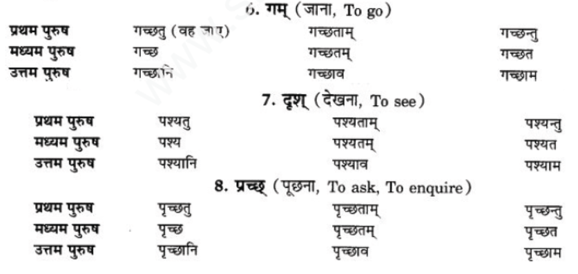 ncert-solutions-class-9-sanskrit-chapter-9-lot-lakar