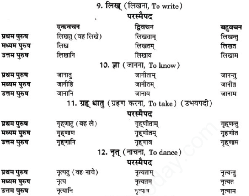 ncert-solutions-class-9-sanskrit-chapter-9-lot-lakar