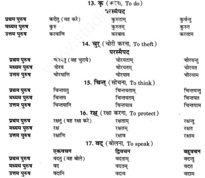 ncert-solutions-class-9-sanskrit-chapter-9-lot-lakar