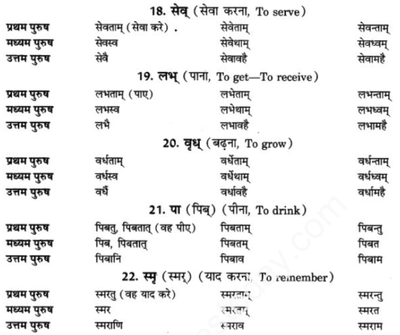 ncert-solutions-class-9-sanskrit-chapter-9-lot-lakar