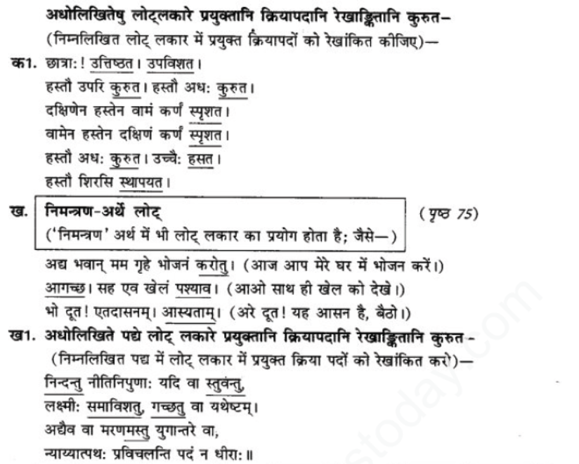 ncert-solutions-class-9-sanskrit-chapter-9-lot-lakar