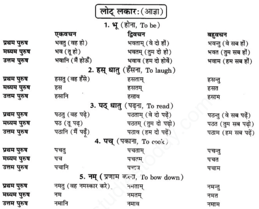 ncert-solutions-class-9-sanskrit-chapter-9-lot-lakar