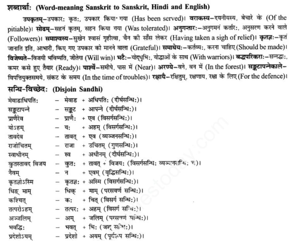 ncert-solutions-class-9-sanskrit-chapter-9-vijaytam-svadesh