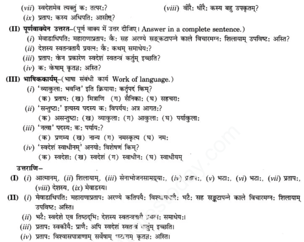 ncert-solutions-class-9-sanskrit-chapter-9-vijaytam-svadesh