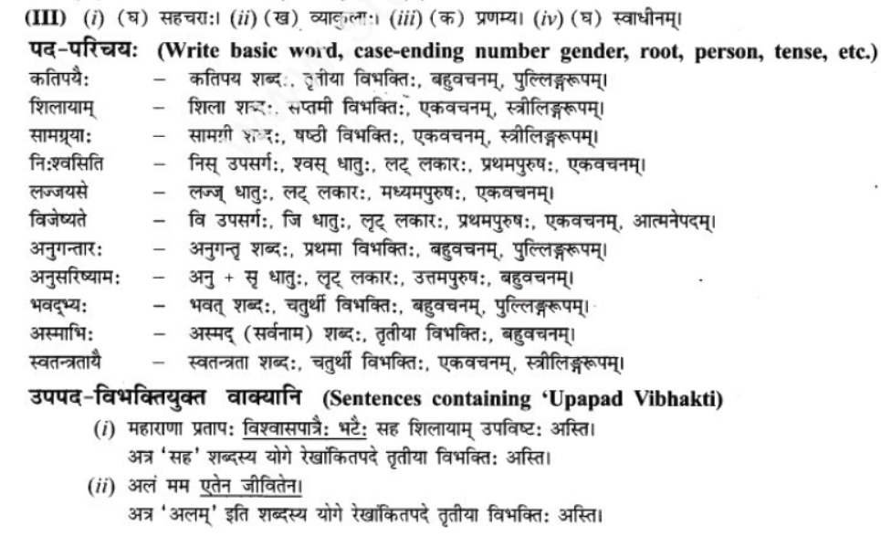 ncert-solutions-class-9-sanskrit-chapter-9-vijaytam-svadesh