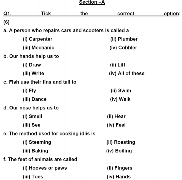 Class_3_EVS_Sample_Paper_4