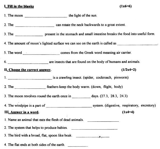 Class_3_EVS_Sample_Paper_5