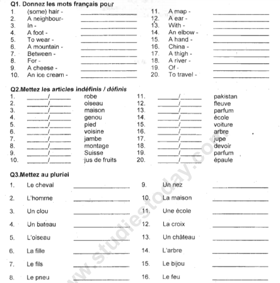 Class_5_French_Sample_Paper_1