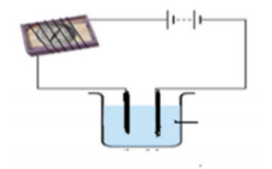 class_8_Science_Question_paper_2