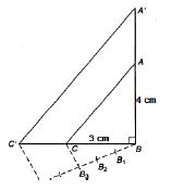 ""NCERT-Solutions-Class-10-Mathematics-Chapter-11-Construction-6