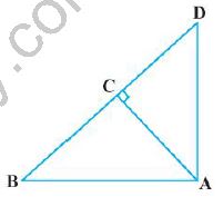 ""NCERT-Solutions-Class-10-Mathematics-Chapter-6-Triangles-20
