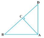 ""NCERT-Solutions-Class-10-Mathematics-Chapter-6-Triangles-51