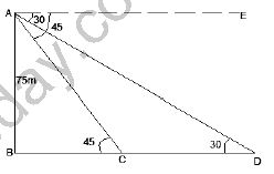 ""NCERT-Solutions-Class-10-Mathematics-Chapter-9-Some-Application-of-Trigonometry-13