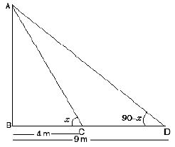 ""NCERT-Solutions-Class-10-Mathematics-Chapter-9-Some-Application-of-Trigonometry-17